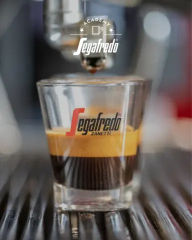 Segafredo Zanetti